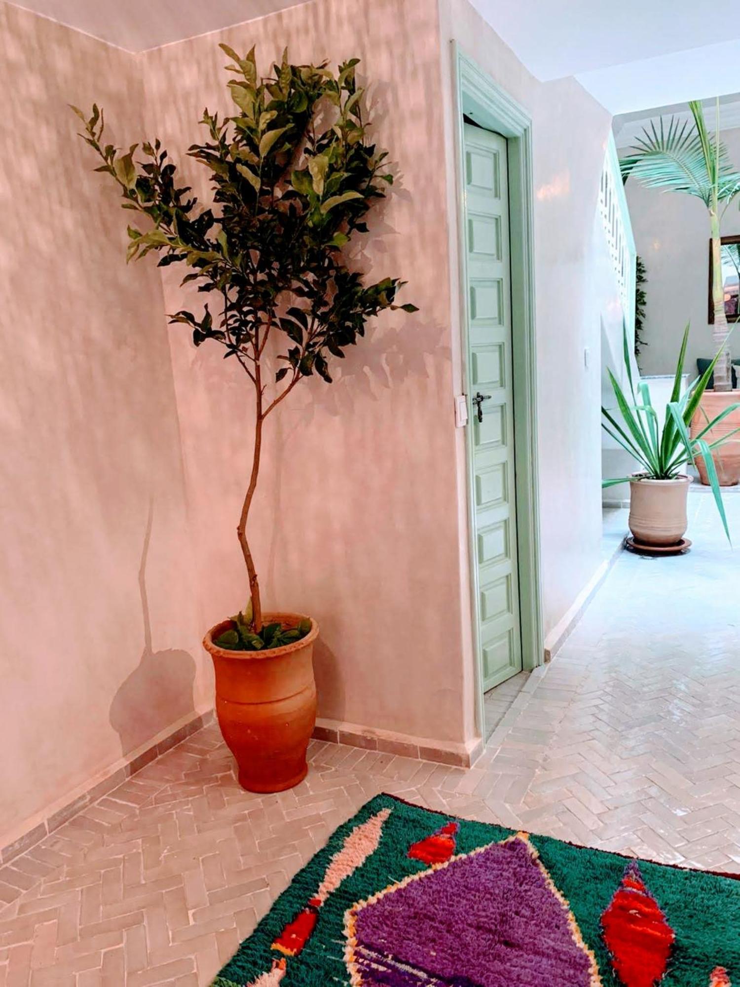 Riad With 3 Swimming Pools Marrakesh